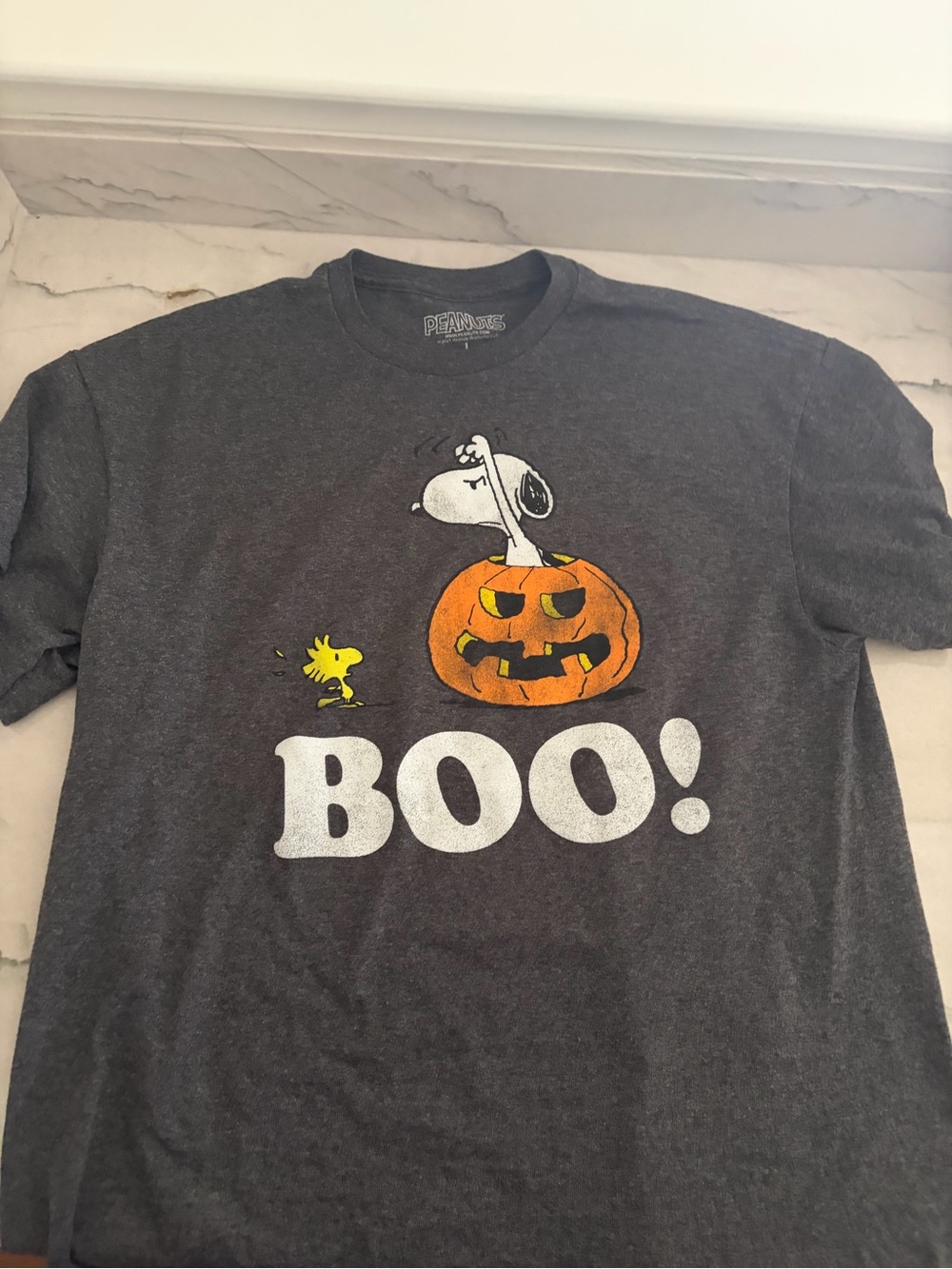 Peanuts Snoopy Pumpkin 'BOO!' Halloween T-Shirt - Charcoal
